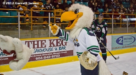 surrey eagles 006